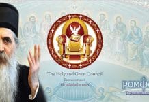 Lettre de l’évêque Irénée de Batchka, à propos du Concile de Crête: « Pourquoi je n’ai pas signé le texte du Concile réuni en Crête » Lettre de l’évêque Irénée de Batchka, à propos du Concile de Crête: « Pourquoi je n’ai pas signé le texte du Concile réuni en Crête »