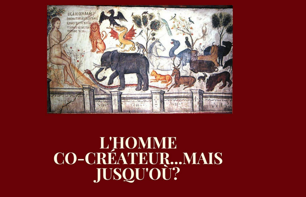 “L’homme cocréateur… mais jusqu’au où” – débat avec le diacre Dominique Beaufils
