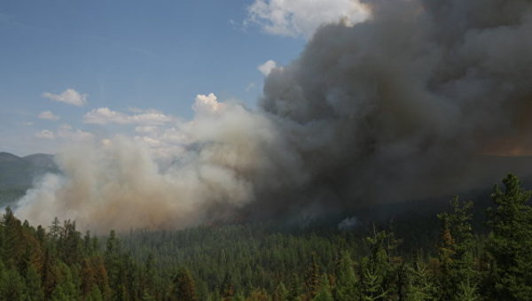 Le patriarche de Géorgie a appelé à prier pour sauver les gorges de Borjomi dévastées par un incendie de forêt