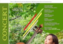 Dimanche 20 janvier à Paris : un concert de soutien pour les travaux de la colline Saint-Serge