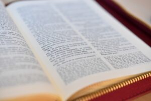 L’Église orthodoxe roumaine distribue le Nouveau Testament dans les hôpitaux, les casernes et les pénitenciers