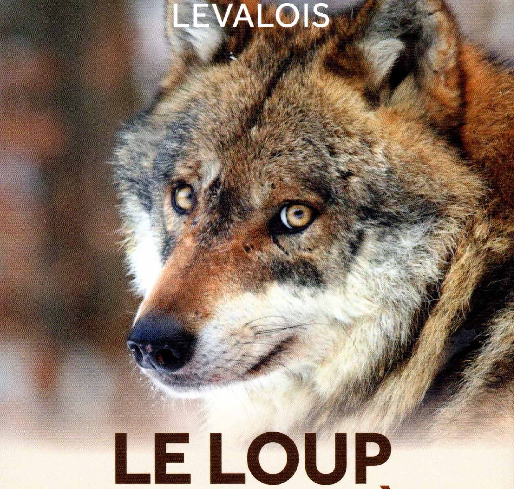 Vient de paraître : « Le loup et son mystère. Histoire d’une fascination »