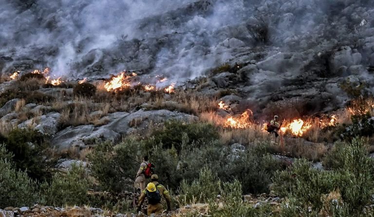 Le feu se propage dans une zone forestière du Mont Athos