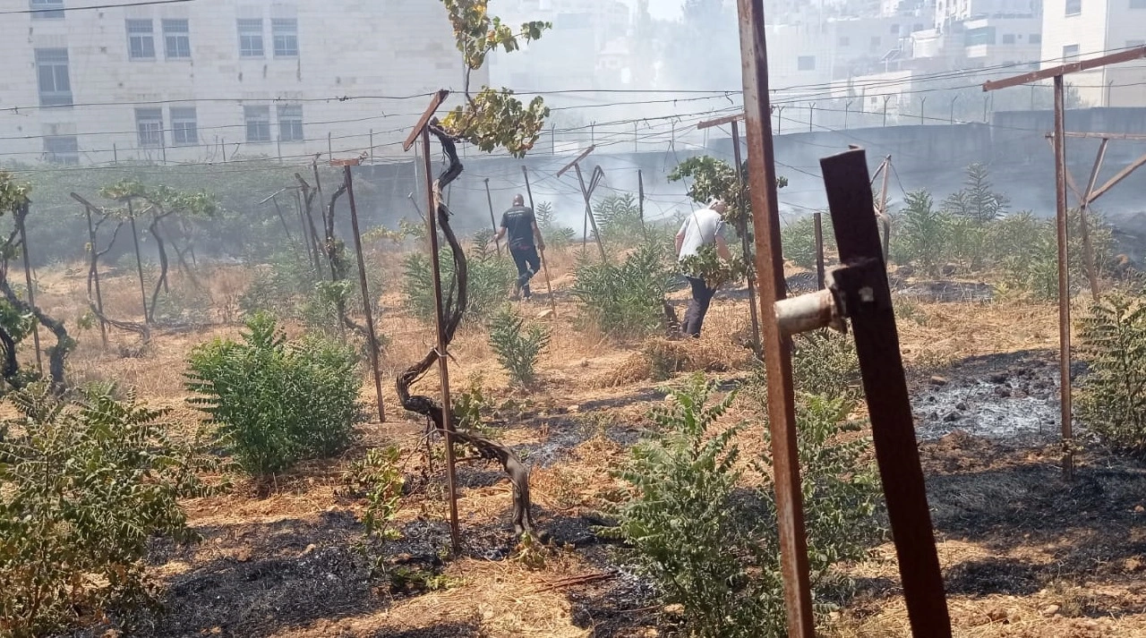 Des inconnus ont mis le feu au jardin de la Mission ecclésiastique russe à Hébron
